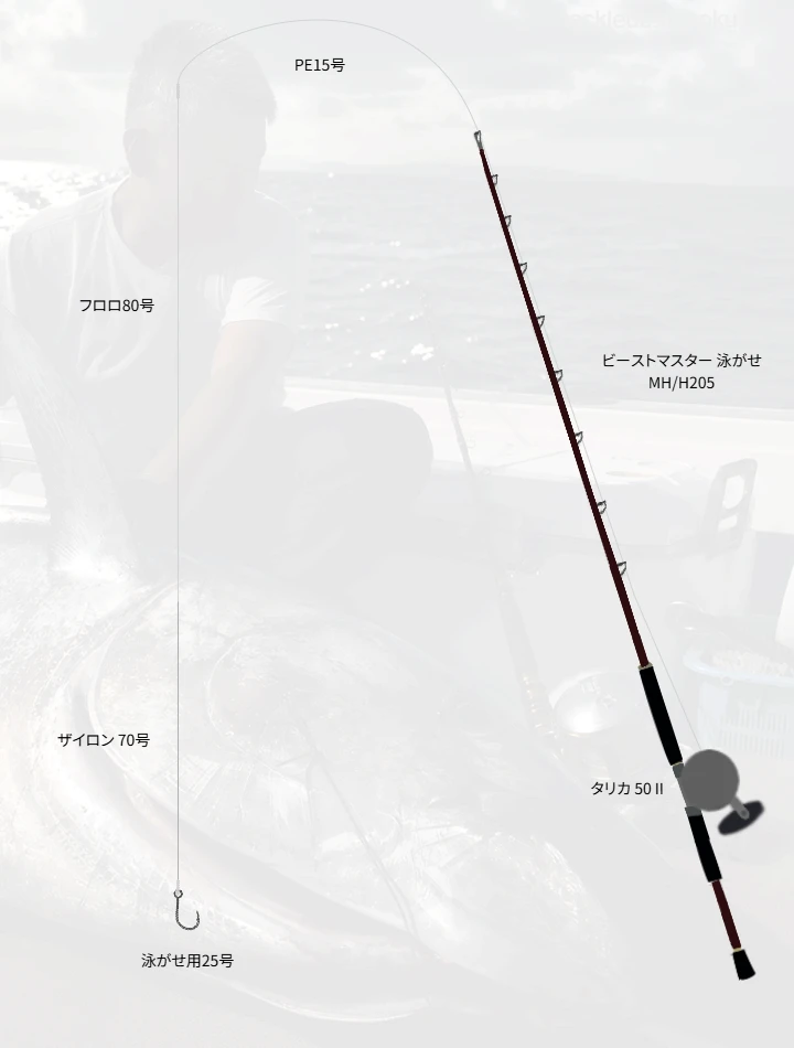 泳がせ釣りに関するタックル、仕掛け図解