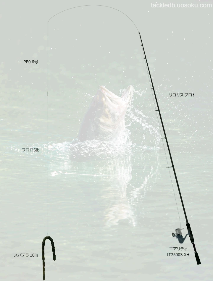 バス釣りに関するタックル、仕掛け図解