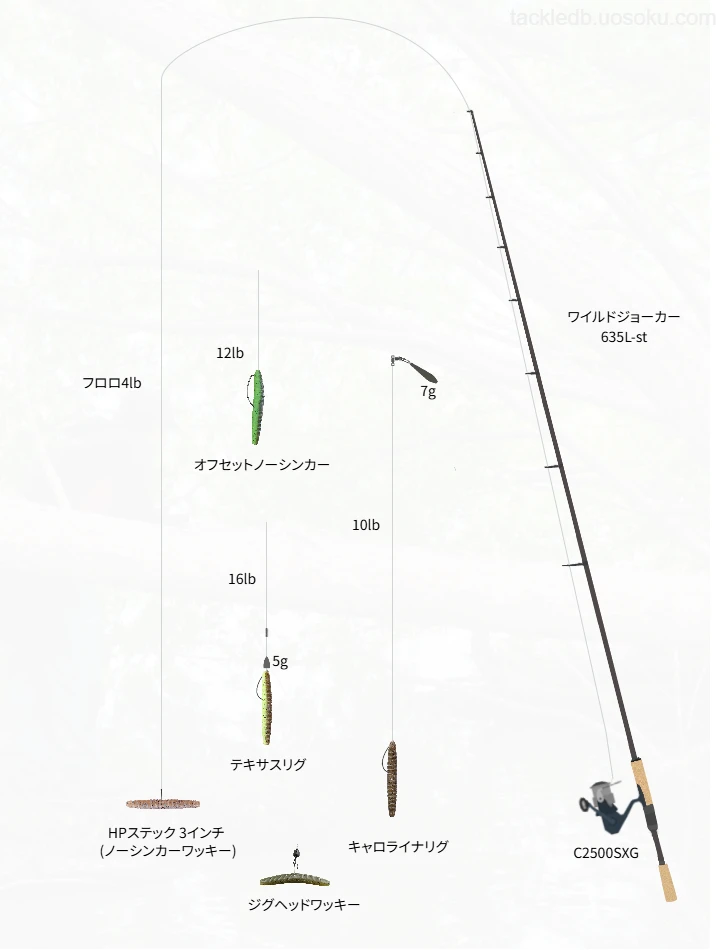 バス釣りに関するタックル、仕掛け図解