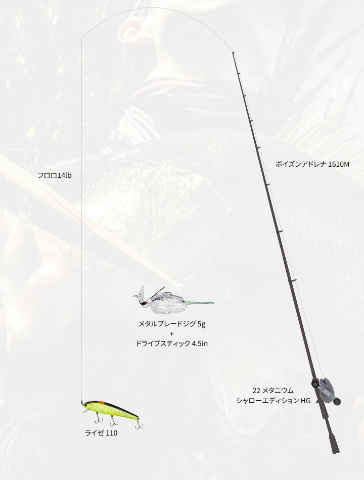バス釣りに関するタックル、仕掛け図解