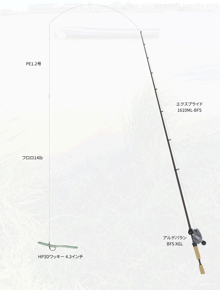 バス釣りに関するタックル、仕掛け図解