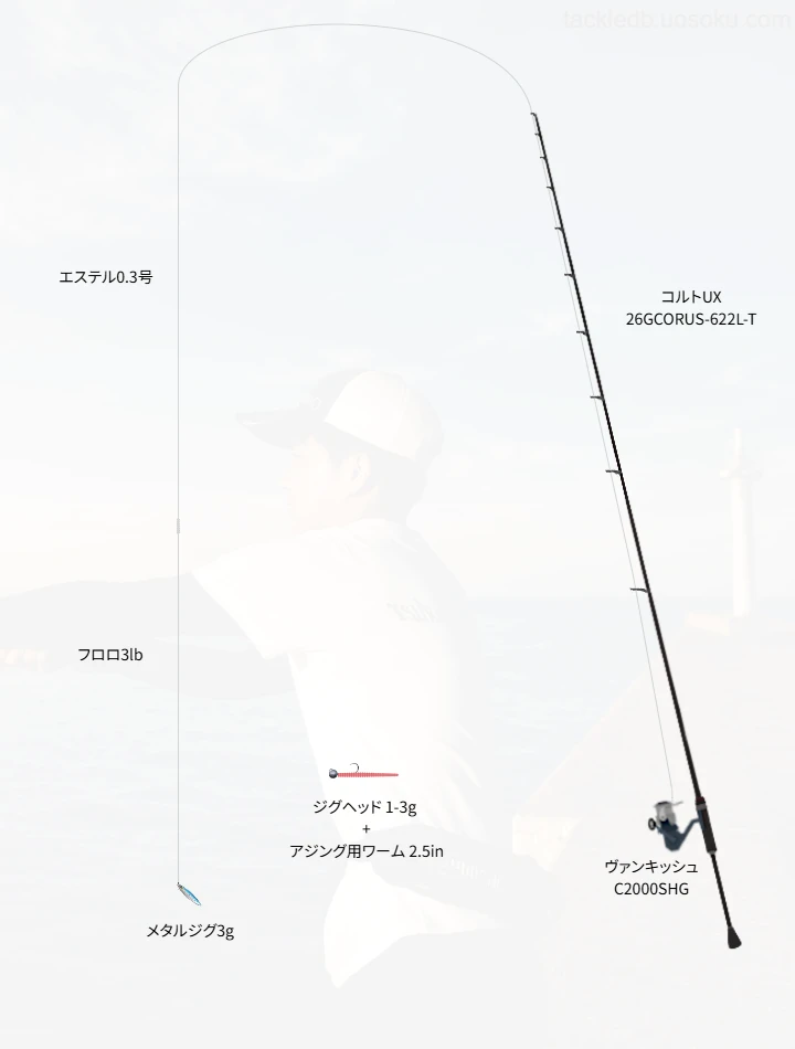 アジングに関するタックル、仕掛け図解