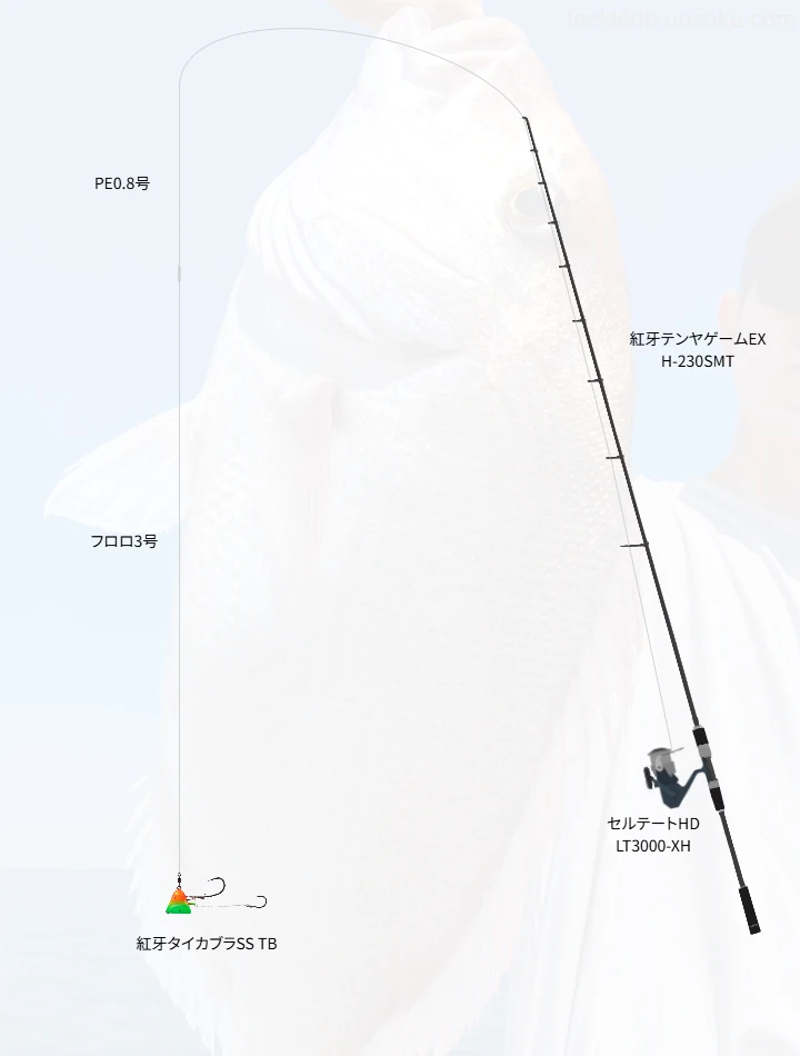 一つテンヤマダイに関するタックル、仕掛け図解