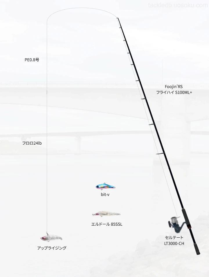 ショアシーバスに関するタックル、仕掛け図解