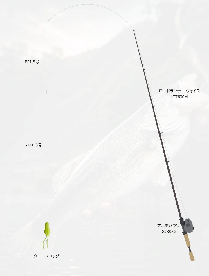 バス釣りに関するタックル、仕掛け図解