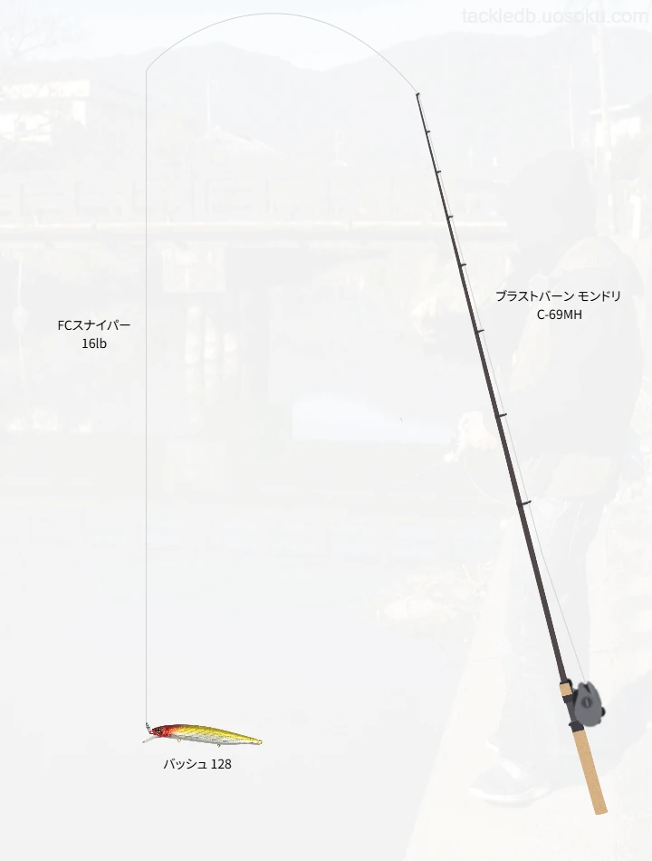 バス釣りに関するタックル、仕掛け図解