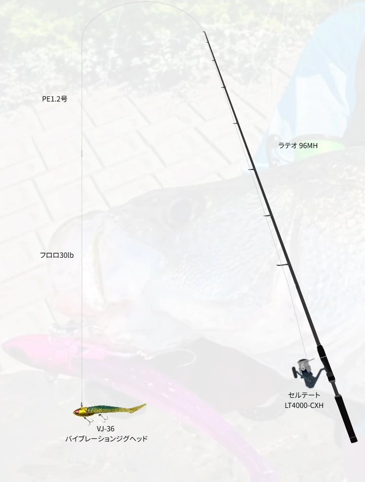 ショアシーバスに関するタックル、仕掛け図解