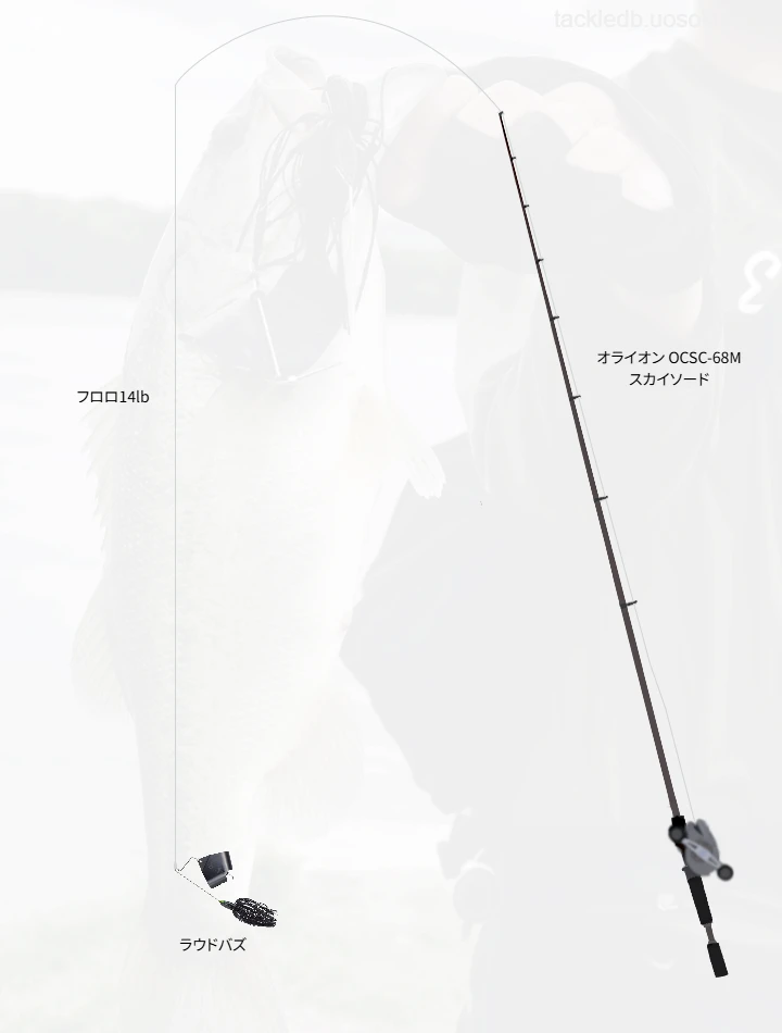 バス釣りに関するタックル、仕掛け図解