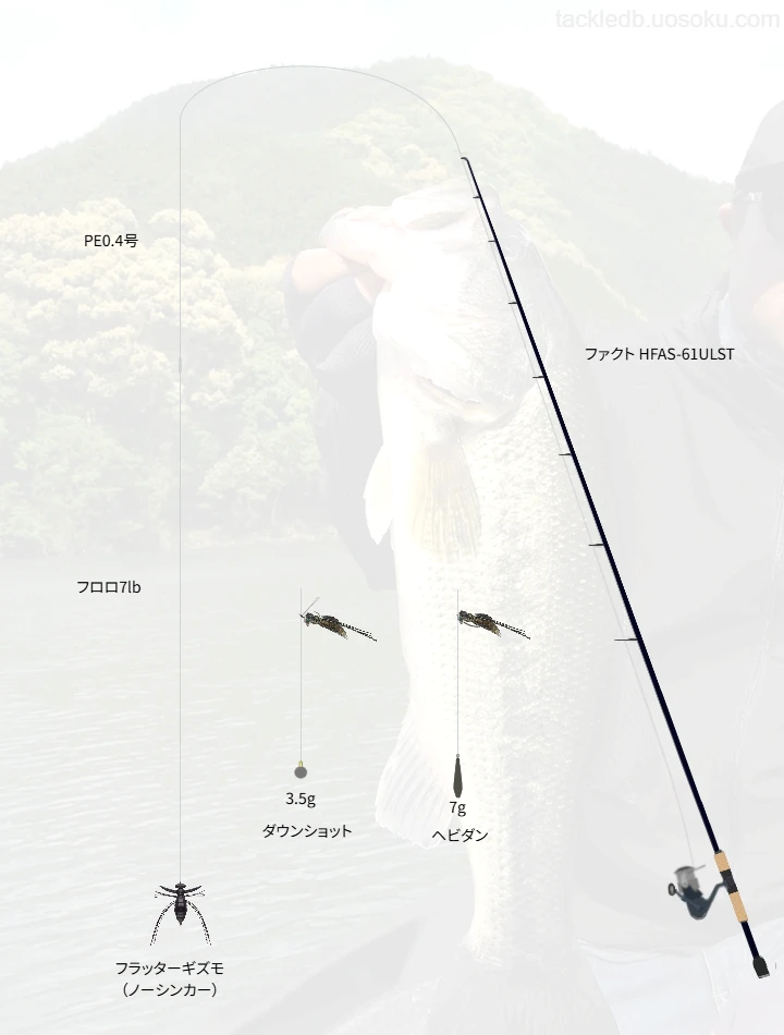 バス釣りに関するタックル、仕掛け図解