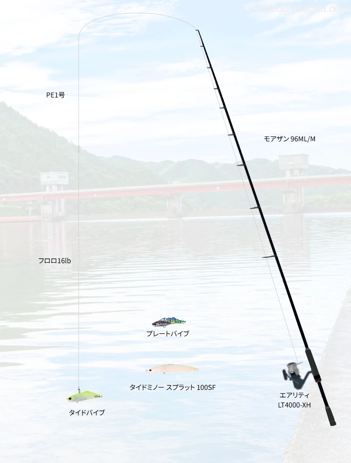 ショアシーバスに関するタックル、仕掛け図解