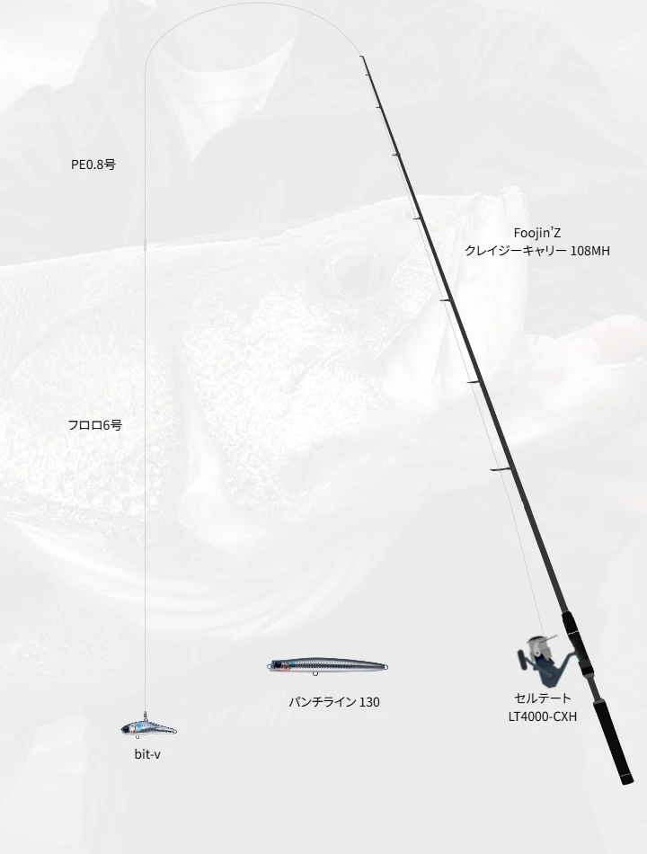 ショアシーバスに関するタックル、仕掛け図解