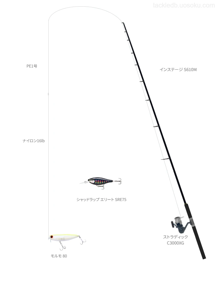 インステージ S610Mとストラディック C3000XGの調和によるボートシーバスタックル【仮想インプレ】
