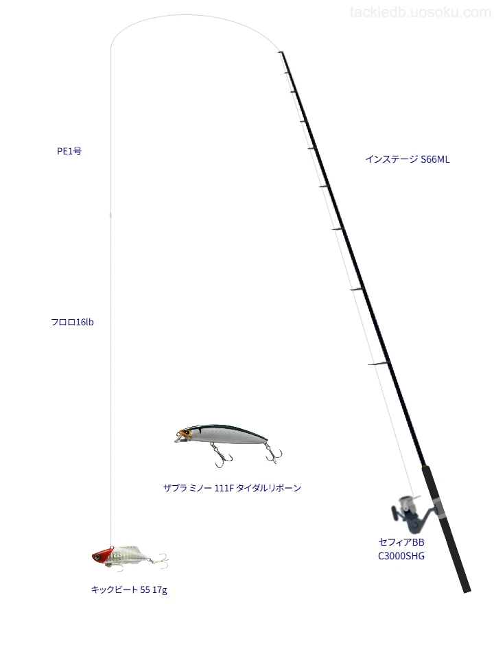 セフィアBB C3000SHGにインステージ S66MLを合わせるボートシーバスタックル【大阪湾】