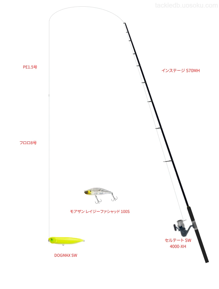【大阪湾】DOGMAX SWを活用するボートシーバスタックル【仮想インプレ】