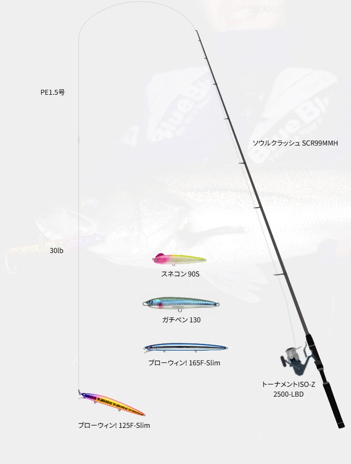 ショアシーバスに関するタックル、仕掛け図解