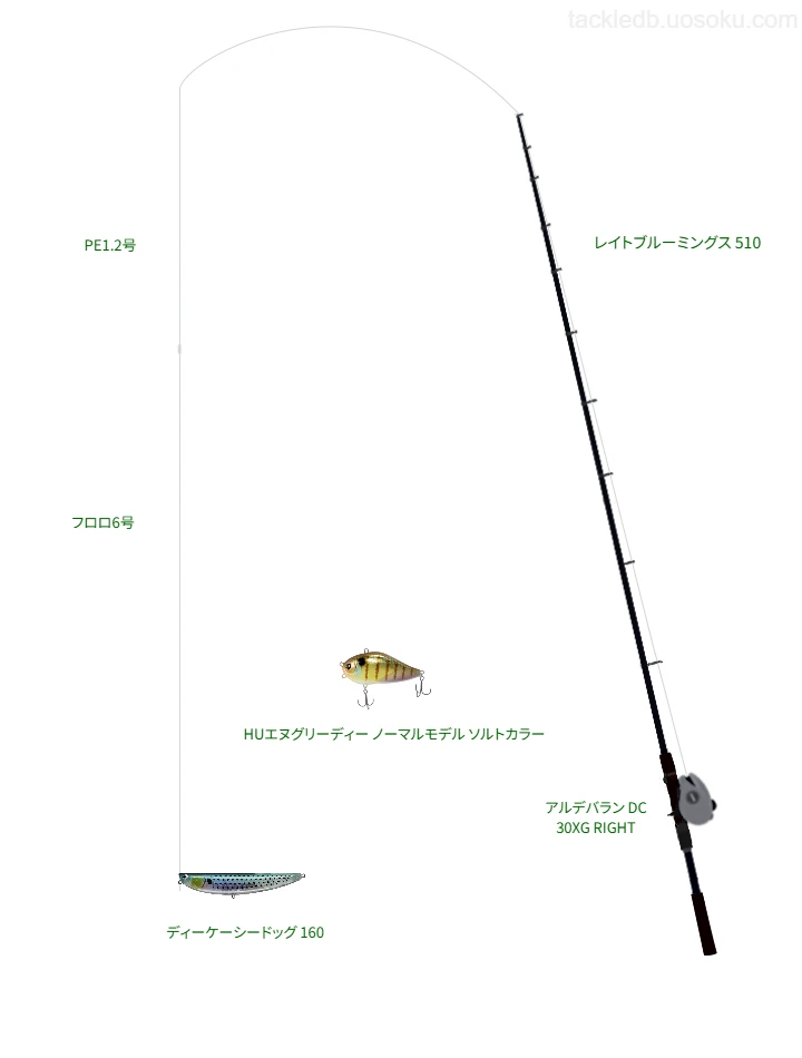 【大阪湾】レイトブルーミングス 510とトップウォーターによるボートシーバスタックル【Vインプレ】