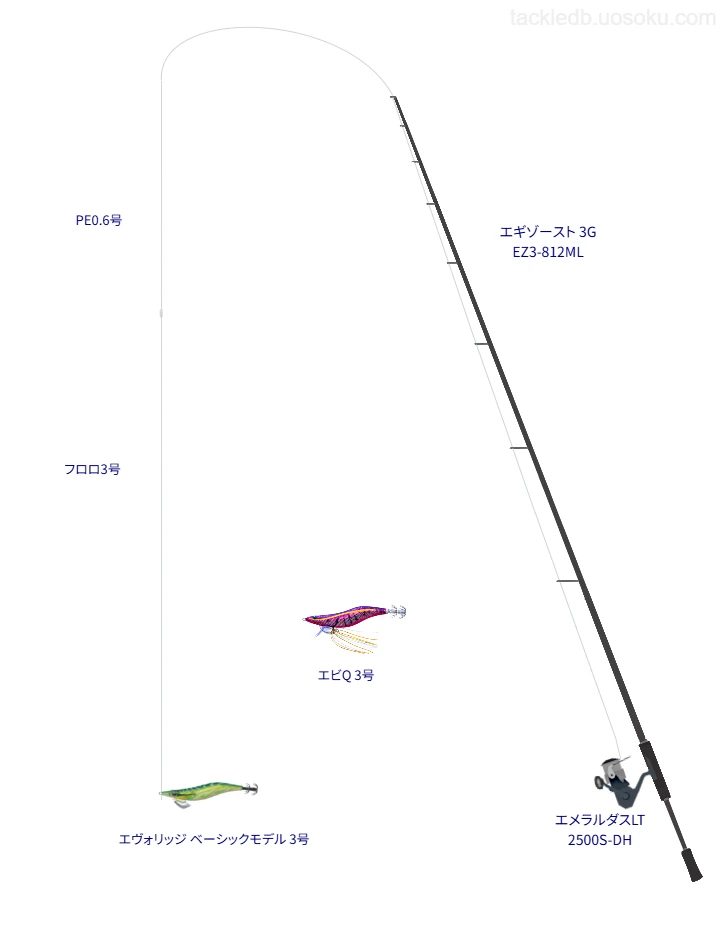 エギゾースト 3G EZ3-812MLとエヴォリッジ ベーシックモデル 3号による最強エギングタックル【父島】