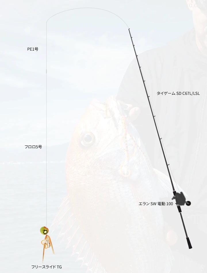 タイラバに関するタックル、仕掛け図解