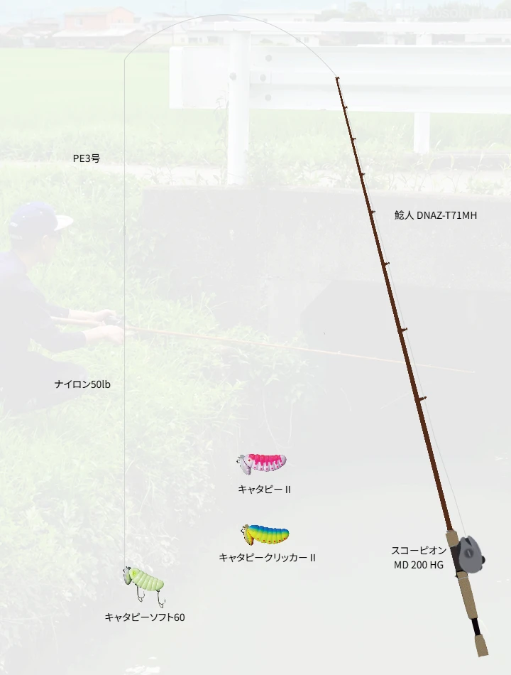 ・鯰・雷魚釣りに関するタックル、仕掛け図解