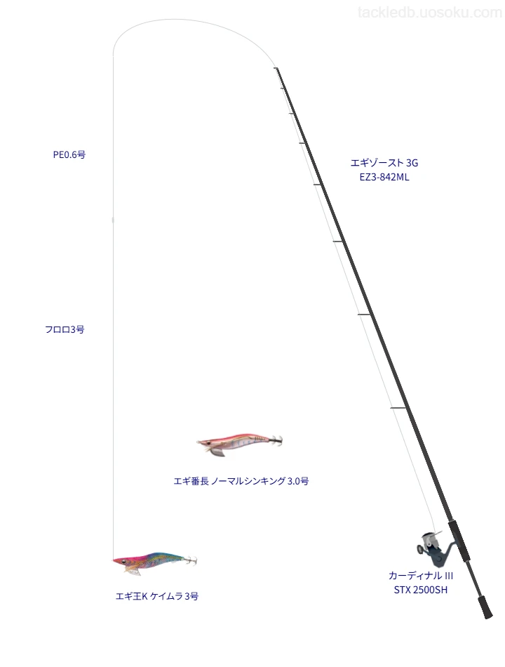 エギングに関するタックル、仕掛け図解