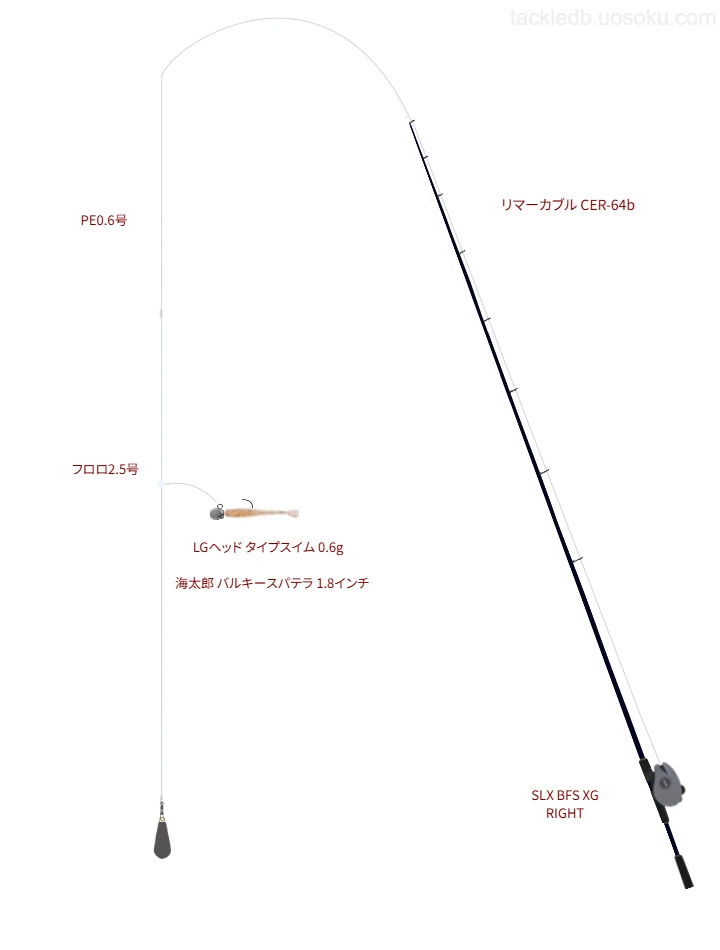 SLX BFS XG RIGHTにリマーカブル CER-64bを合わせるボートアジングタックル【駿河湾】