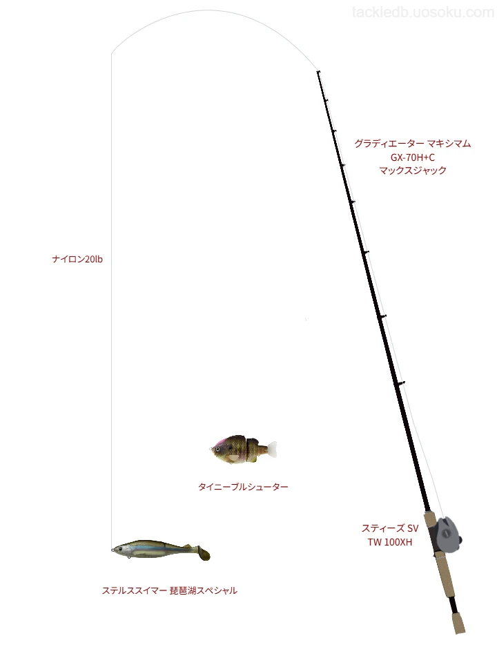 【中富堤】ステルススイマー 琵琶湖スペシャルを活用するタックル【仮想インプレ】