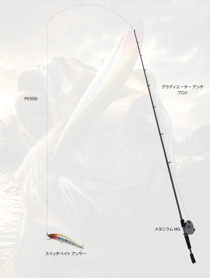 バス釣りに関するタックル、仕掛け図解