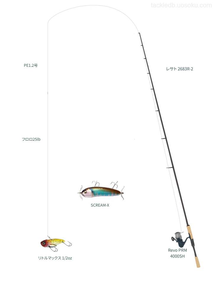 バス釣りに関するタックル、仕掛け図解