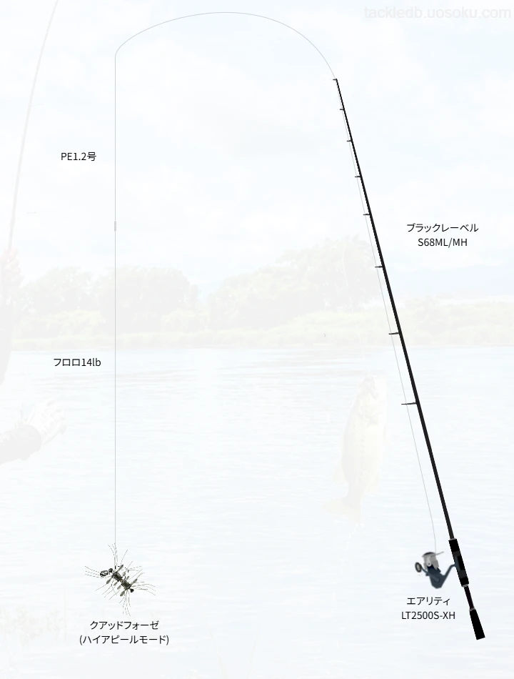 バス釣りに関するタックル、仕掛け図解