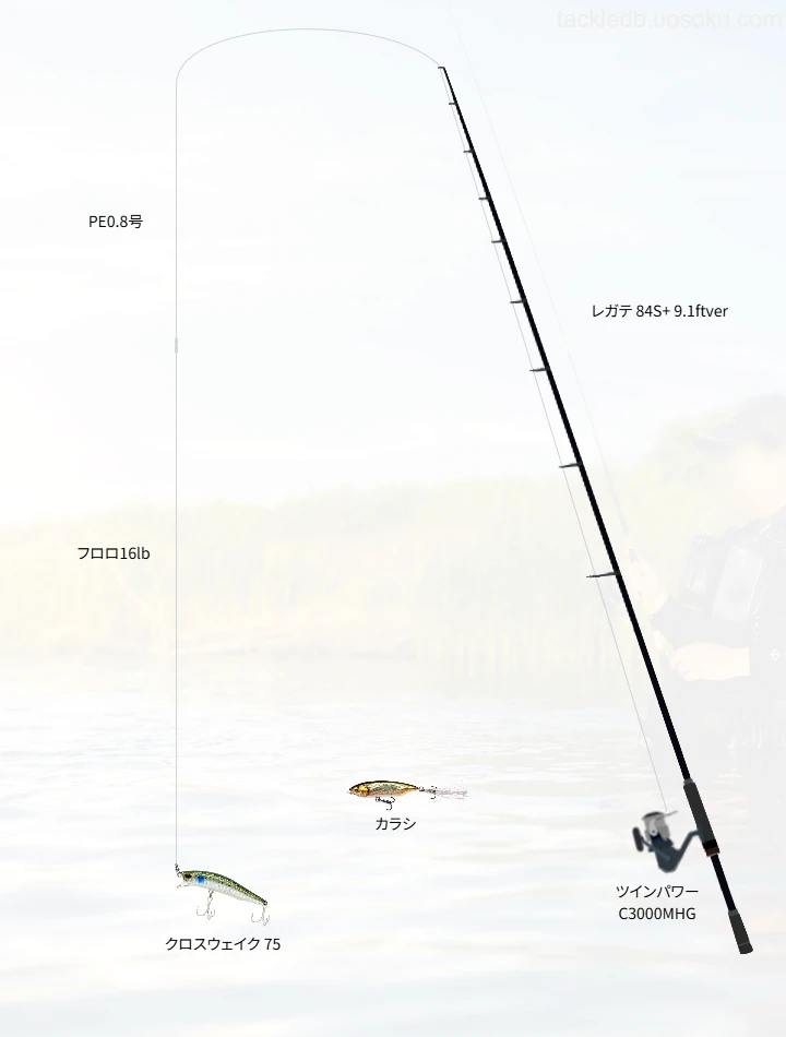 ショアシーバスに関するタックル、仕掛け図解