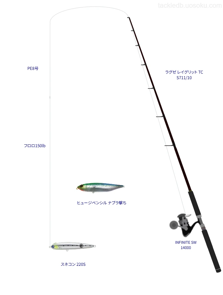 【天草灘】スネコン 220Sを活用するキャスティングタックル【仮想インプレ】
