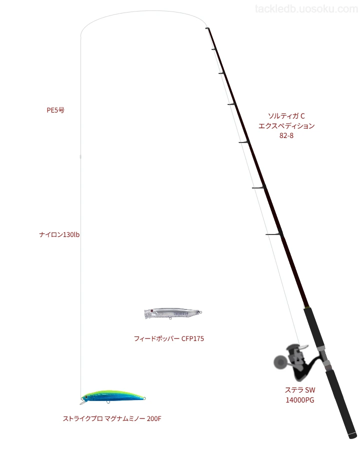 PE5号ラインでストライクプロ マグナムミノー 200Fを扱うキャスティングタックル【ソルティガ C エクスペディション 82-8】