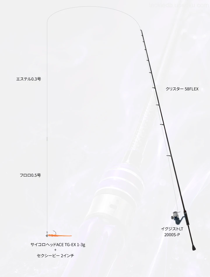 アジングに関するタックル、仕掛け図解
