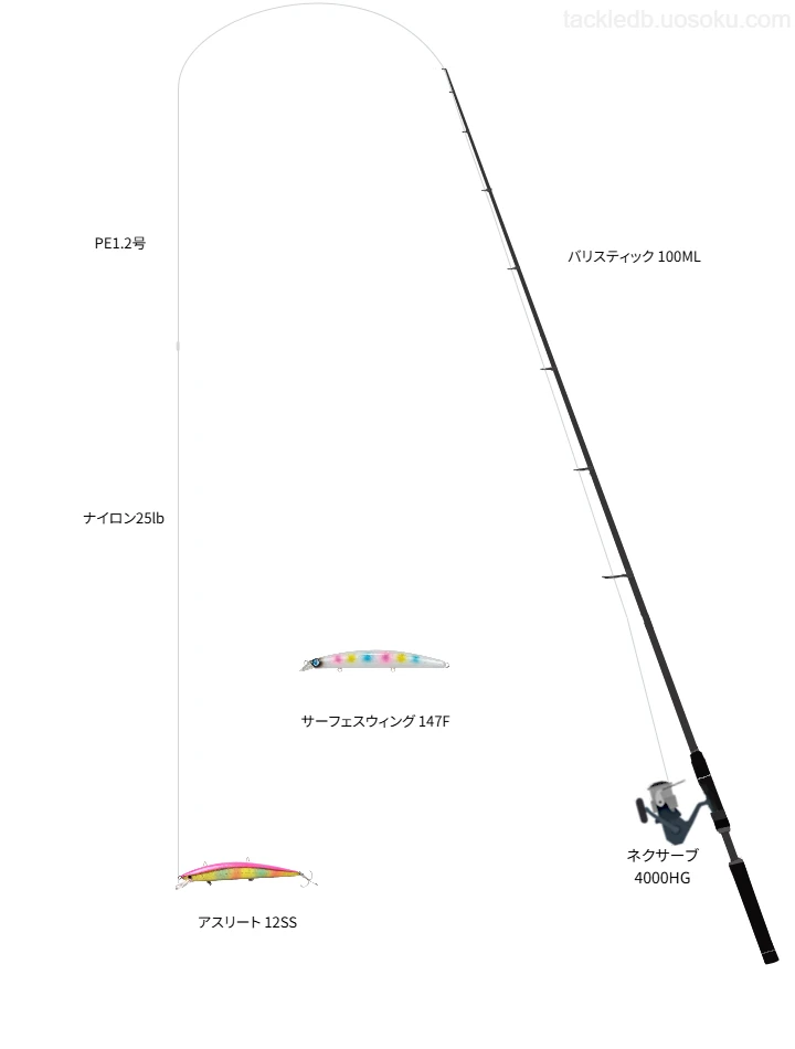 バリスティック 100MLとシマノのリールでアスリート 12SSを使用するタックル