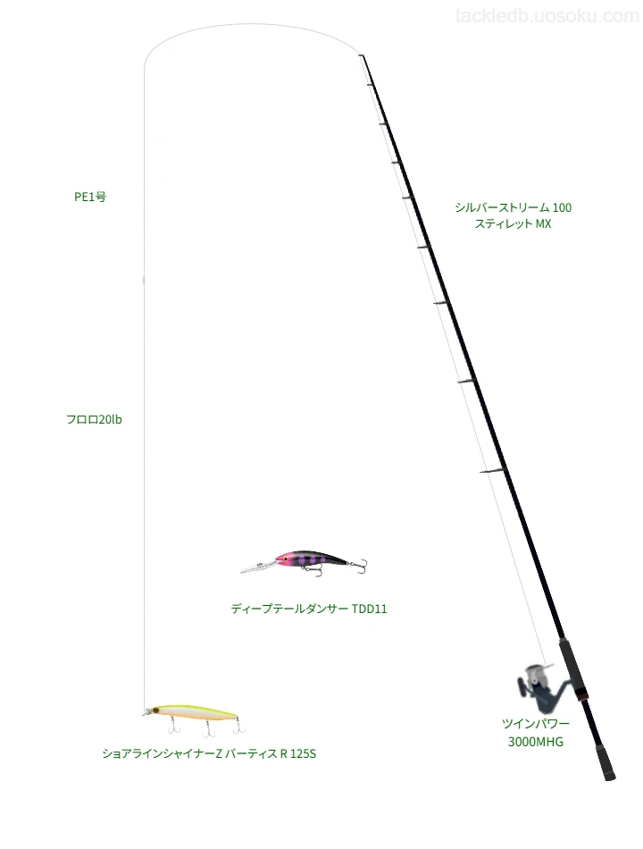 ハイエンドタックル。シルバーストリーム 100 スティレット MXとツインパワー 3000MHGのリール