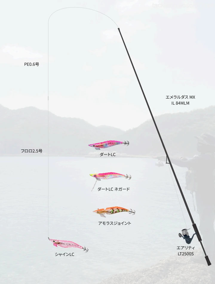 エギングに関するタックル、仕掛け図解