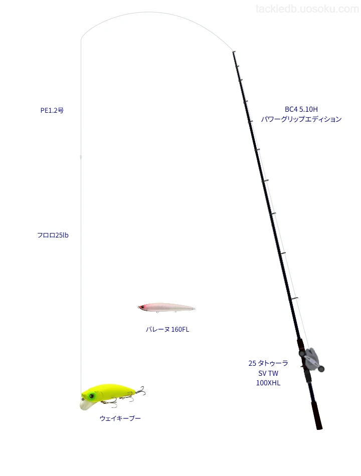 ロッドはFishman,リールはダイワでウェイキーブーを使うタックル【東京湾】