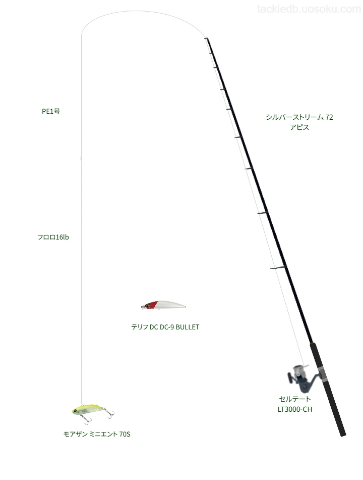 APPLAUD SALTMAX GT-R PE 1号とROOTS FC LEADER 16lbを使用したタックル【シルバーストリーム 72 アピス】