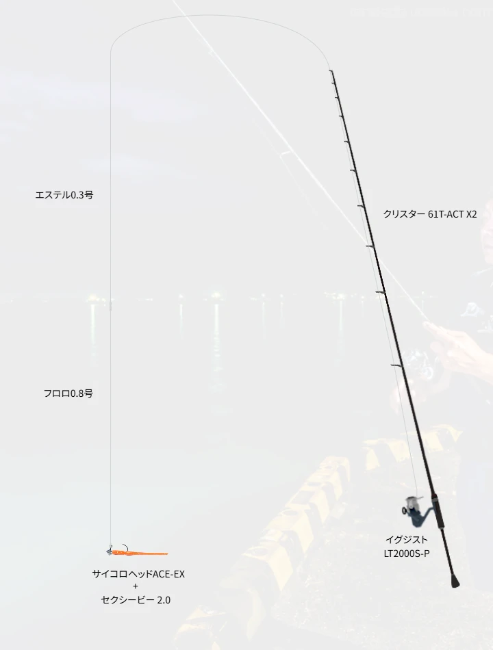アジングに関するタックル、仕掛け図解