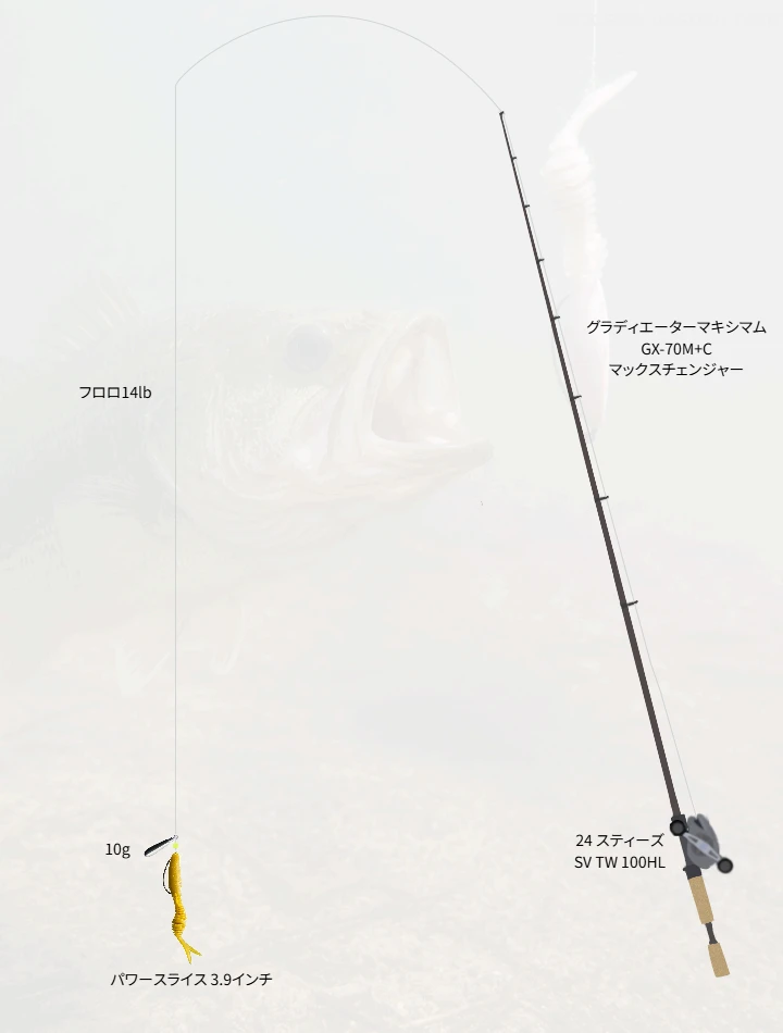 バス釣りに関するタックル、仕掛け図解