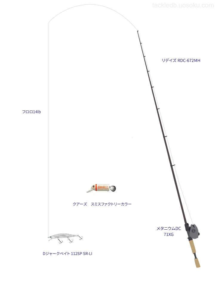 【外浪逆浦】リデイズ RDC-672MHの仮想使用におけるインプレッション