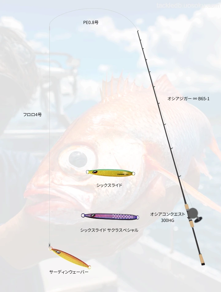 ジギングに関するタックル、仕掛け図解