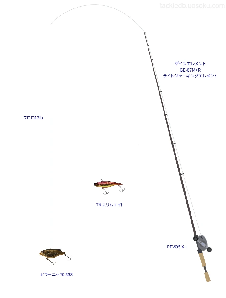 バス釣りに関するタックル、仕掛け図解