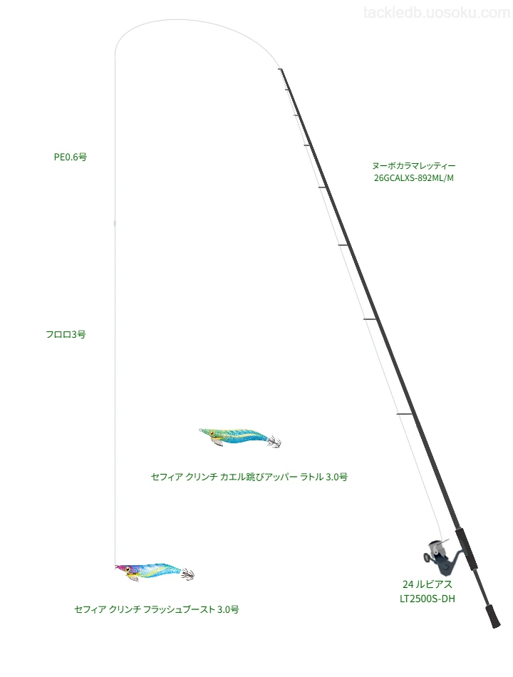 セフィア クリンチ フラッシュブースト 3.0号のためのタックル【岡津海岸】