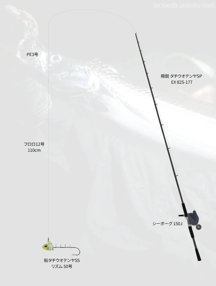 テンヤタチウオに関するタックル、仕掛け図解