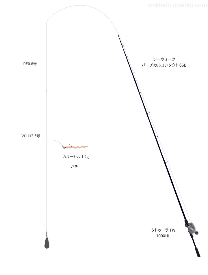 シーウォーク バーチカルコンタクト 66B,タトゥーラ TW 100XHL,ジグヘッドを使うタックル【仮想インプレ】