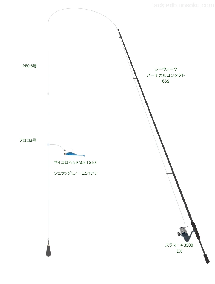中級者向けタックル。シーウォーク バーチカルコンタクト 66SとPENNのリール