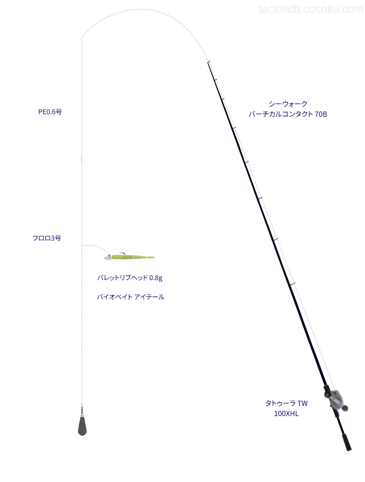 中級者向けタックル。シーウォーク バーチカルコンタクト 70Bとダイワのリール