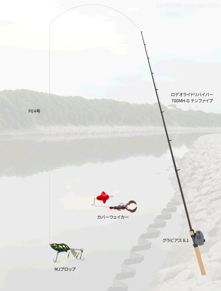 バス釣りに関するタックル、仕掛け図解