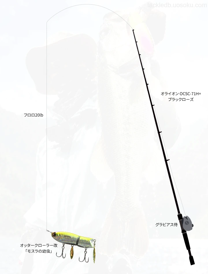バス釣りに関するタックル、仕掛け図解